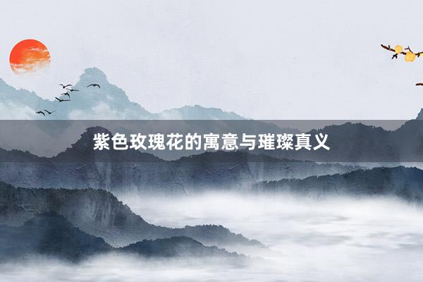 紫色玫瑰花的寓意与璀璨真义