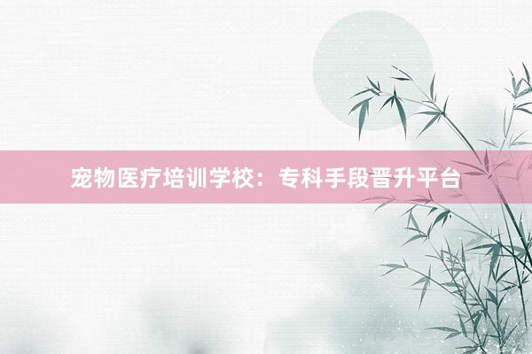 宠物医疗培训学校：专科手段晋升平台