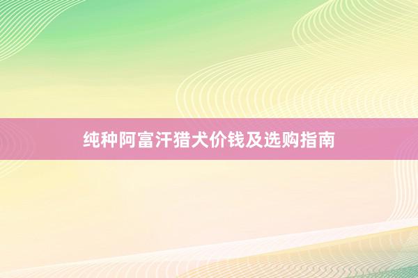 纯种阿富汗猎犬价钱及选购指南