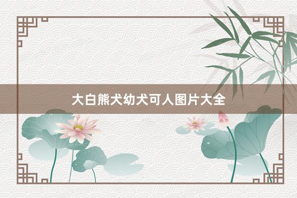大白熊犬幼犬可人图片大全