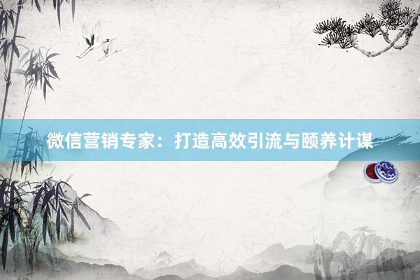微信营销专家：打造高效引流与颐养计谋